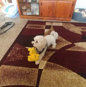 Meet your Posher, Beulah